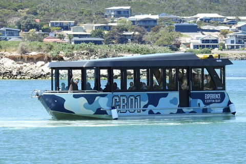 Experience Coffin Bay Short And Sweet Oyster Farm Tour - Timeshare Accommodation 9