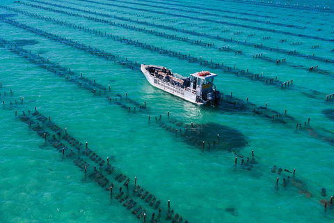 Experience Coffin Bay Short And Sweet Oyster Farm Tour - Timeshare Accommodation 7