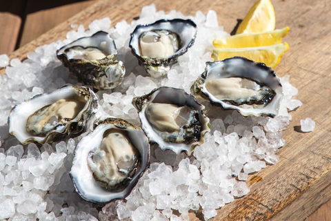 Experience Coffin Bay Short And Sweet Oyster Farm Tour - Timeshare Accommodation 3