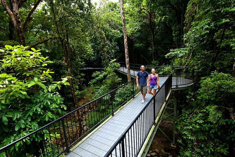 5-Day Best Of Cairns With Daintree, Kuranda, And Great Barrier Reef - Timeshare Accommodation 4