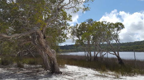 North Stradbroke Island Day Trip From Brisbane - Timeshare Accommodation 14