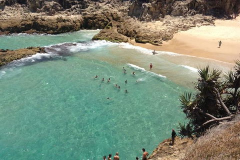 North Stradbroke Island Day Trip From Brisbane - Timeshare Accommodation 1