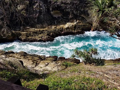 North Stradbroke Island Day Trip From Brisbane - Timeshare Accommodation 7