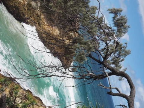 North Stradbroke Island Day Trip From Brisbane - Timeshare Accommodation 16