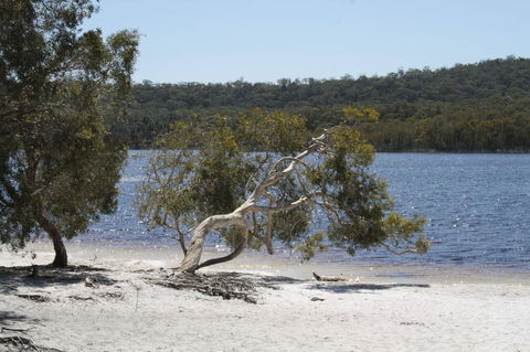 North Stradbroke Island Day Trip From Brisbane - Timeshare Accommodation 24