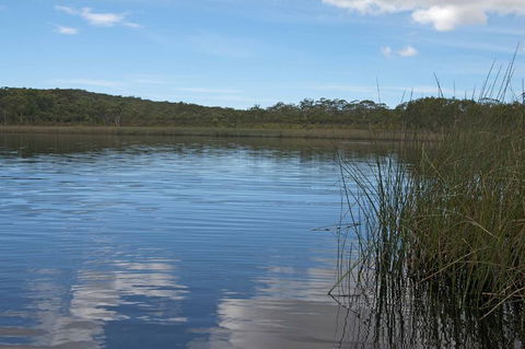 North Stradbroke Island Day Trip From Brisbane - Timeshare Accommodation 22