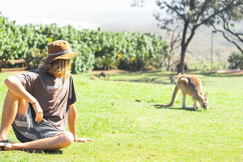 North Stradbroke Island Day Trip From Brisbane - Timeshare Accommodation 35