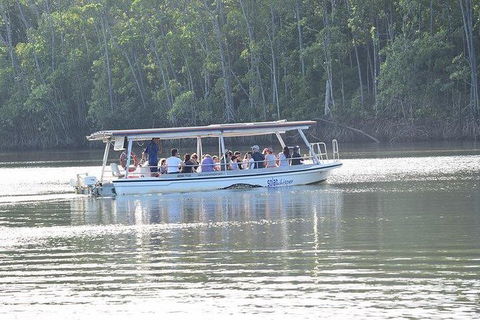 Daintree - Cape Tribulation & Atherton Tablelands Tours From Port Douglas - Timeshare Accommodation 16