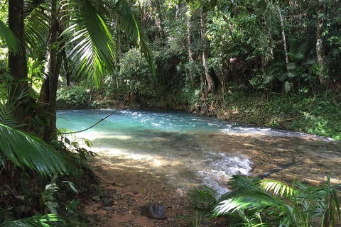Daintree - Cape Tribulation & Atherton Tablelands Tours From Port Douglas - Timeshare Accommodation 5