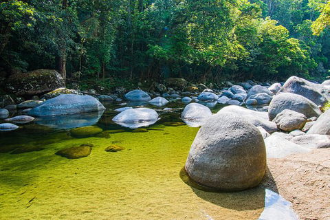 Daintree - Cape Tribulation & Atherton Tablelands Tours From Port Douglas - Timeshare Accommodation 6
