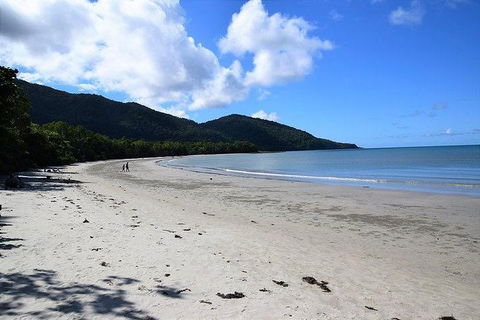 Daintree - Cape Tribulation & Atherton Tablelands Tours From Port Douglas - Timeshare Accommodation 18
