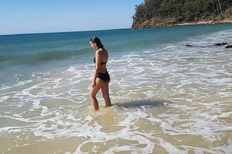 Noosa And Sunshine Coast Hinterland Day Trip From Brisbane - Timeshare Accommodation 7