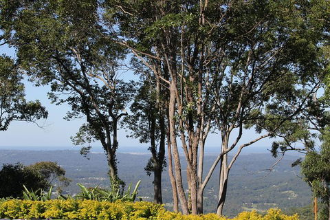 Noosa And Sunshine Coast Hinterland Day Trip From Brisbane - Timeshare Accommodation 10