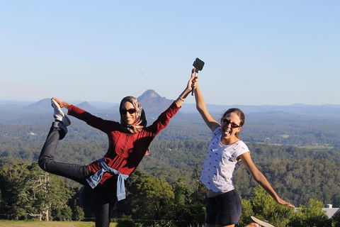 Noosa And Sunshine Coast Hinterland Day Trip From Brisbane - Timeshare Accommodation 6