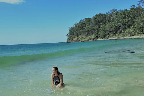 Noosa And Sunshine Coast Hinterland Day Trip From Brisbane - Timeshare Accommodation 4