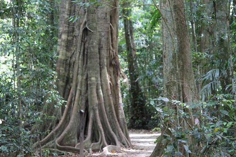 Noosa And Sunshine Coast Hinterland Day Trip From Brisbane - Timeshare Accommodation 8