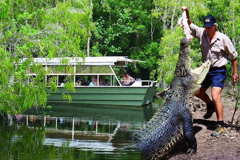 Crocs, Creatures And Culture Ex Northern Beaches - Timeshare Accommodation 1