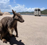Magnetic Island Tour Maggie Comprehensive