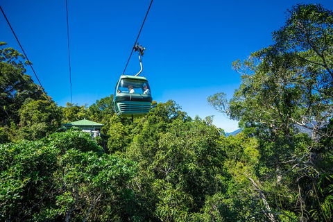 Kuranda Scenic Railway Day Trip From Palm Cove - Timeshare Accommodation 3