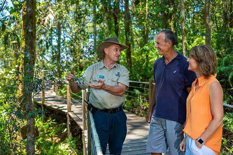Kuranda Scenic Railway Day Trip From Palm Cove - Timeshare Accommodation 4