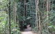Eumundi Markets And Sunshine Coast Day Trip From Brisbane - thumb 6