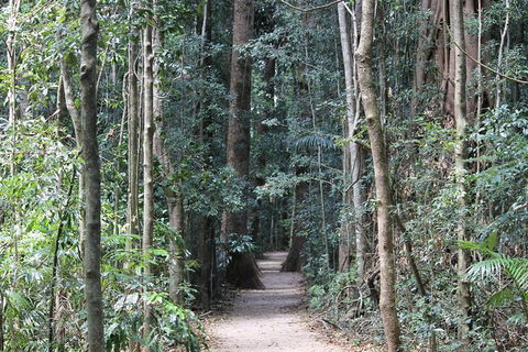 Eumundi Markets And Sunshine Coast Day Trip From Brisbane - Timeshare Accommodation 6