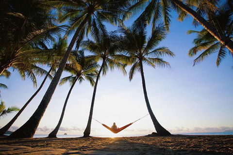 Port Douglas And Hartley's Crocodile Adventure Day Trip From Cairns - Timeshare Accommodation 0