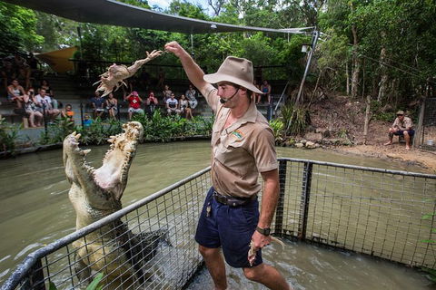 Port Douglas And Hartley's Crocodile Adventure Day Trip From Cairns - Timeshare Accommodation 1