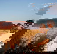 Uluru Ayers Rock Sunset with Outback Barbecue Dinner and Star Tour - Timeshare Accommodation