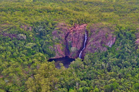 Litchfield Park & Daly River - Scenic Flight From Darwin - Timeshare Accommodation 9
