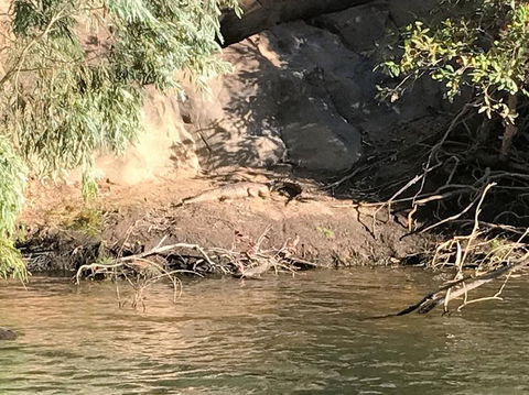 Nitmiluk (Katherine) Gorge 3.5-Hour Sunset Dinner Boat Tour - Timeshare Accommodation 4