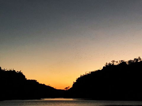 Nitmiluk (Katherine) Gorge 3.5-Hour Sunset Dinner Boat Tour - Timeshare Accommodation 9