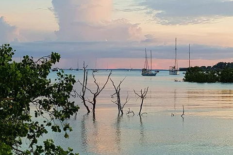 Tropical Light Tropical Bite - Twilight Cruise And CHOW Dinner - Timeshare Accommodation 7