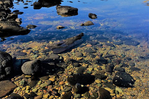 The Eurobodalla Experience (Full Day Private Tour Including Lunch) - Timeshare Accommodation 14