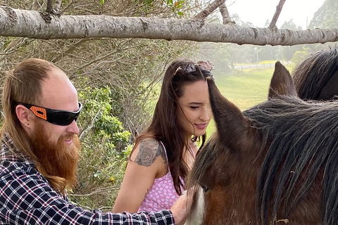 The Eurobodalla Experience (Full Day Private Tour Including Lunch) - Timeshare Accommodation 23