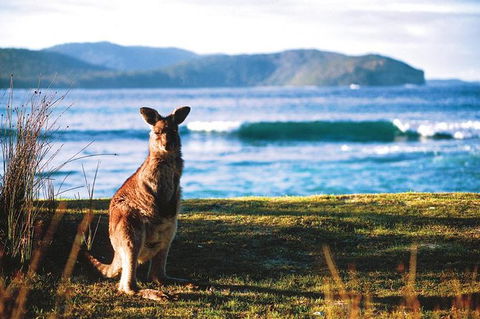 The Eurobodalla Experience (Full Day Private Tour Including Lunch) - Timeshare Accommodation 7