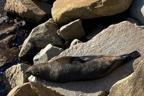 The Eurobodalla Experience (Full Day Private Tour Including Lunch) - Timeshare Accommodation 8