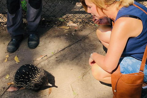 The Eurobodalla Experience (Full Day Private Tour Including Lunch) - Timeshare Accommodation 18