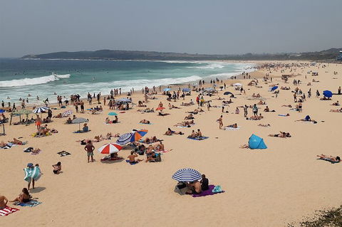 Experience The Real Sydney With Our Signature Tour - Timeshare Accommodation 7