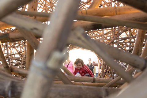 Family Day In Sydney With A Local: Private & Personalized - Timeshare Accommodation 7