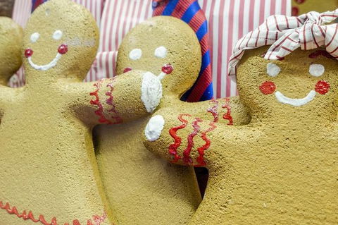 Family Day In Sydney With A Local: Private & Personalized - Timeshare Accommodation 10