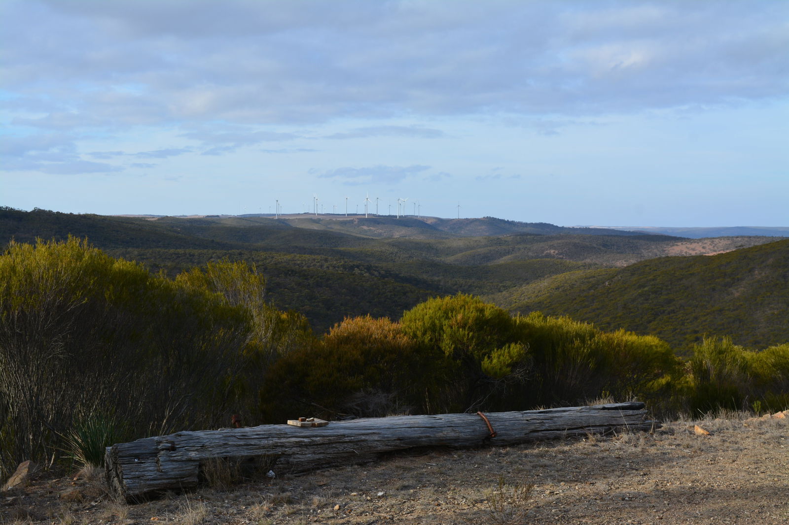 Cleve SA Timeshare Accommodation