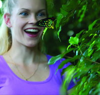 Coffs Harbour Butterfly House - Timeshare Accommodation