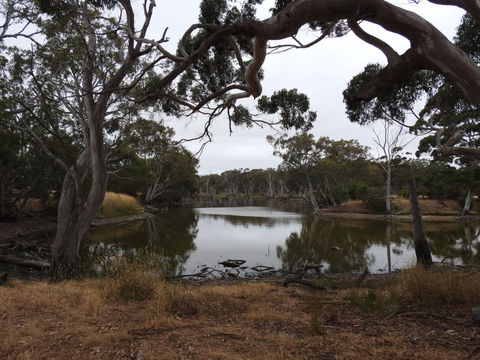 Duck Lagoon - Timeshare Accommodation 0
