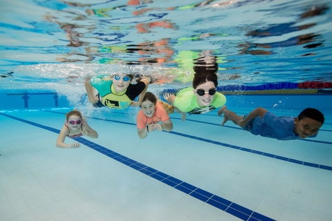 East Maitland Aquatic Centre - Timeshare Accommodation 1