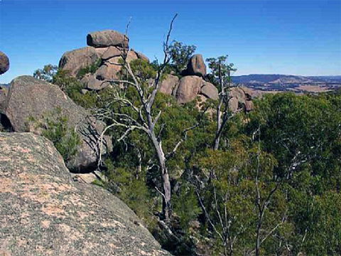 Evans Crown Nature Reserve - Timeshare Accommodation 0