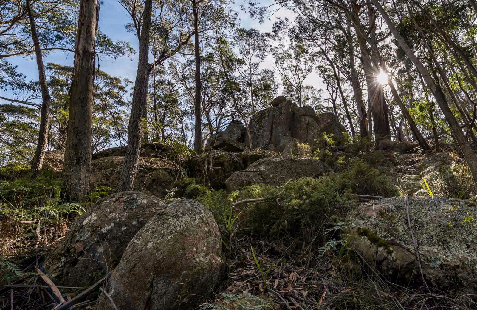Paddys Flat NSW Timeshare Accommodation