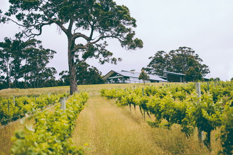 The Great Southern Drive - Timeshare Accommodation 0