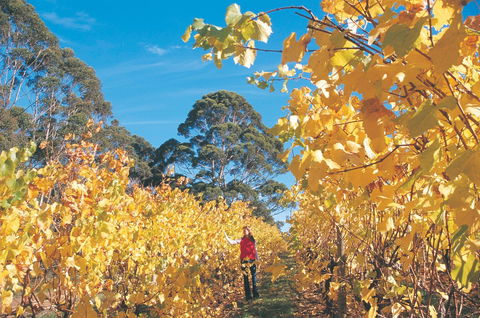 The Great Southern Drive - Timeshare Accommodation 1