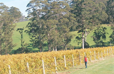 The Great Southern Drive - Timeshare Accommodation 2